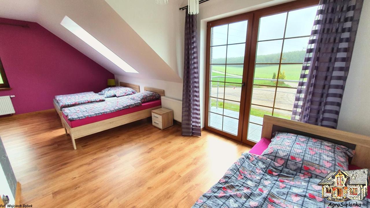Agrosielanka Villa Lipnica  ภายนอก รูปภาพ